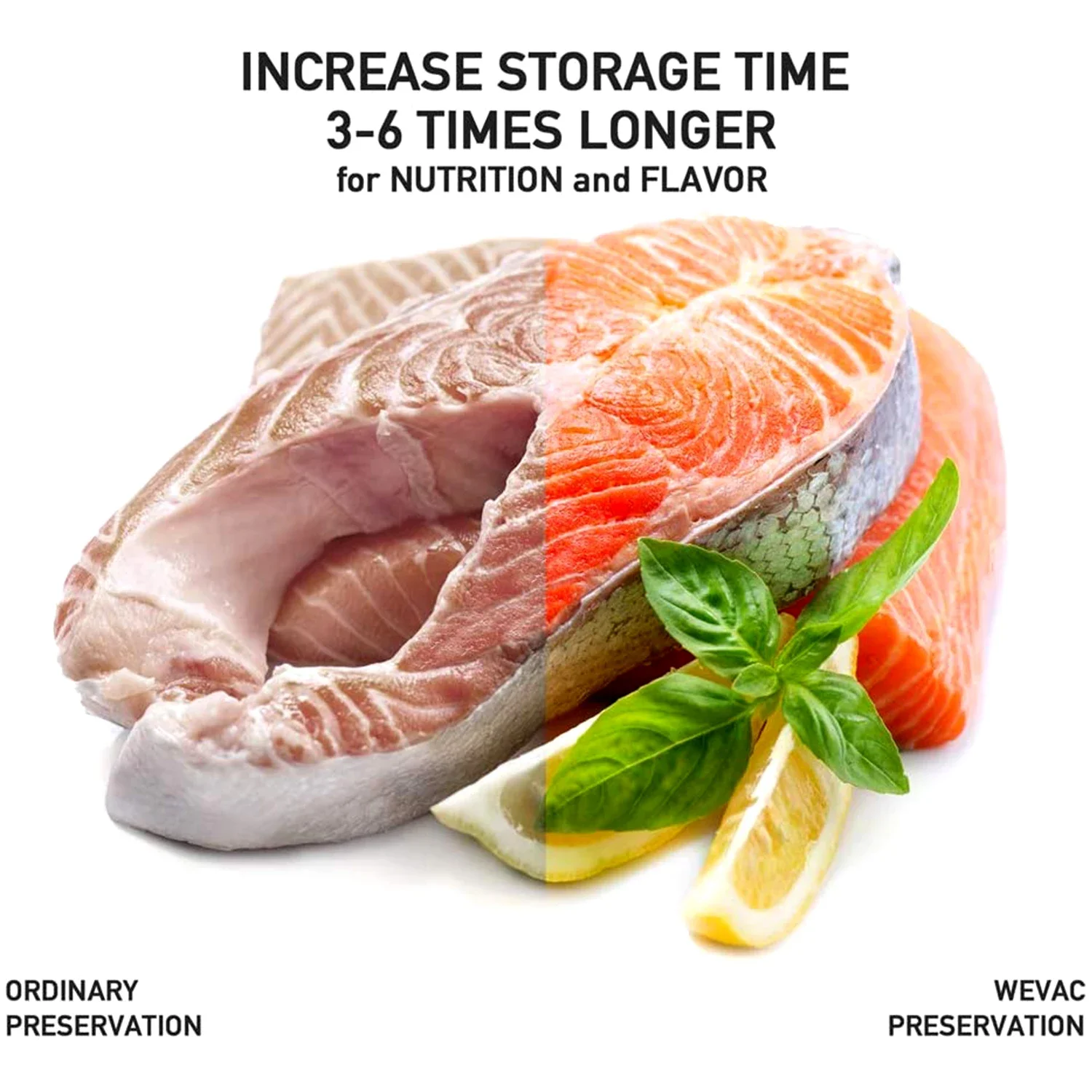 식품 보호용 100쿼트 진공 실러 백, 식사 밀봉, 등 - Meal Prep Or Prep Meal 리뷰 및 가격